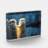 ポーズ設定メルカット フォトブロック (左)