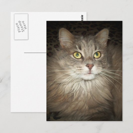 ポーズ ポストカード (正面/裏面)