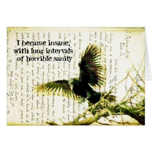 ポーズ·レーヴン (正面横)