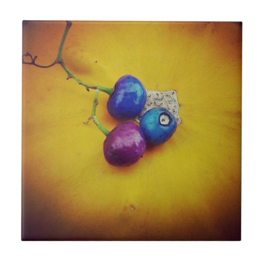 ポーセリンベリーのカボチャ タイル (正面)