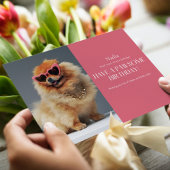 ポーソームブジェポメラニア犬誕生日カード カード