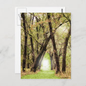 「ポータル」の写真 ポストカード (正面/裏面)