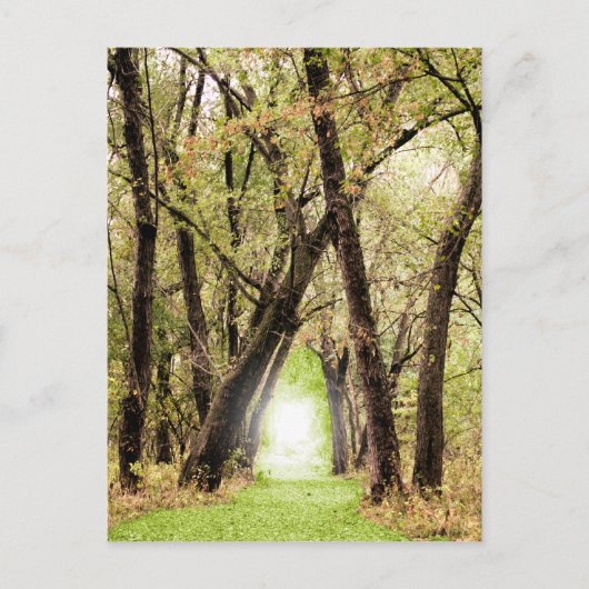 「ポータル」の写真 ポストカード (正面)