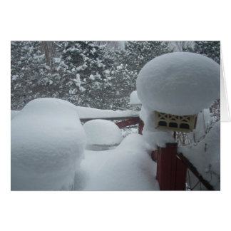 ポーチからの冬の眺め