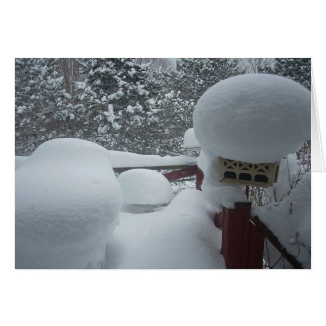 ポーチからの冬の眺め (正面横)