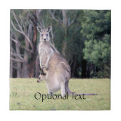 ポーチにベビージョイが入ったマザーカンガルー タイル (正面)