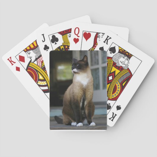 ポーチに住むシャム猫 トランプ (裏面)