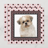 ポーティ・ドッグの誕生日パーティーかドギーが集まる 招待状 (正面/裏面)