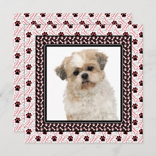 ポーティ・ドッグの誕生日パーティーかドギーが集まる 招待状 (正面/裏面)