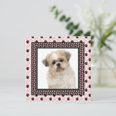 ポーティ・ドッグの誕生日パーティーかドギーが集まる 招待状 (スタンド正面)