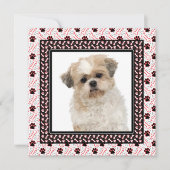 ポーティ・ドッグの誕生日パーティーかドギーが集まる 招待状 (正面)