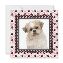 ポーティ・ドッグの誕生日パーティーかドギーが集まる