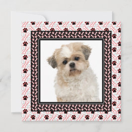 ポーティ・ドッグの誕生日パーティーかドギーが集まる 招待状