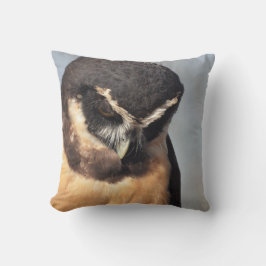 ポートを見下ろすメガネフクロウ怒の閉じ込め クッション