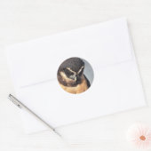 ポートを見下ろすメガネフクロウ怒の閉じ込め ラウンドシール (封筒)