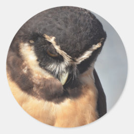 ポートを見下ろすメガネフクロウ怒の閉じ込め ラウンドシール