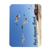 ポートアランサスシーガル撮影かわいらしビーチ マグネット (縦)