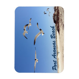 ポートアランサスシーガル撮影かわいらしビーチ マグネット