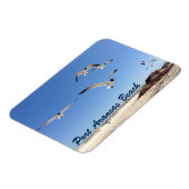 ポートアランサスシーガル撮影かわいらしビーチ マグネット (左側)