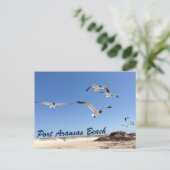 ポートアランサスビーチシーガルかわいらし撮影 ポストカード (スタンド正面)