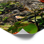 ポートアントニオジャマイカ ポスター (角)