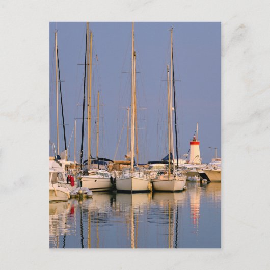 ポートオブハイエールレパルミエ ポストカード (正面)