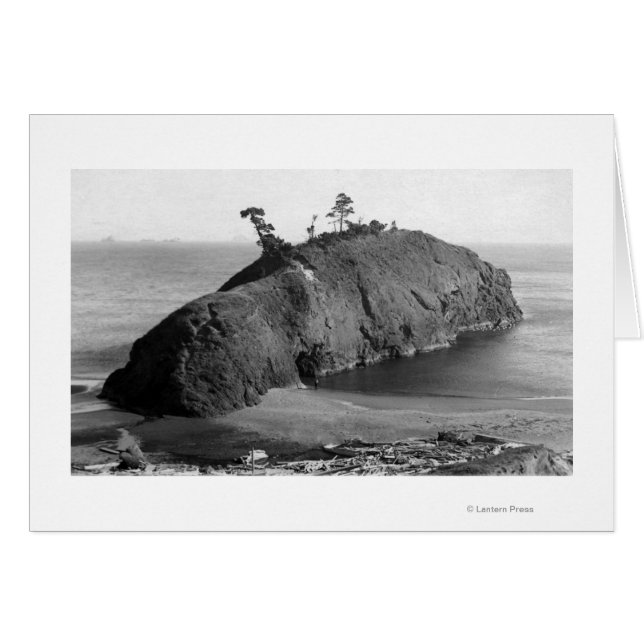 ポートオルフォード、オレゴン州バトルロックコーストの景色 (正面横)