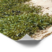 ポートケムブラウォロンゴンビーチNSW ポスター (角)