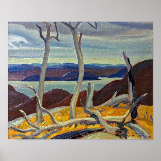 ポートコールドウェルベイ |フランクリン・カーミカエル | ポスター (正面)