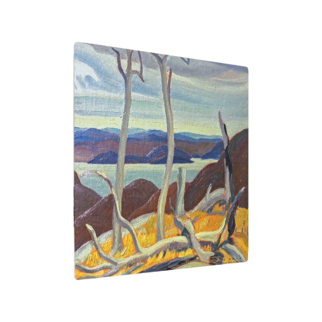 ポートコールドウェルベイ |フランクリン・カーミカエル | メタルプリント (アングル)