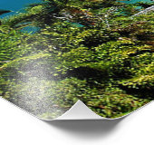 ポートダグラス フォトプリント            (角)