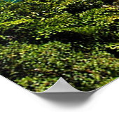 ポートダグラス ポスター (角)