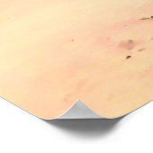 ポートマッコーリービーチシーンオーストラリア ポスター (角)