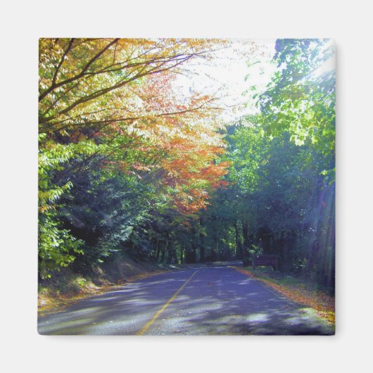 ポートランドオレゴンバラガーデン マグネット (正面)