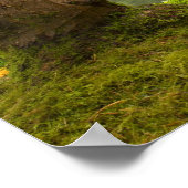 ポートランドオレゴン日本のガーデンポストのメイプルツリー ポスター (角)