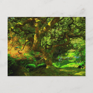 ポートランドガーデン日本のポートランド ポストカード