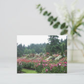 ポートランドバラガーデン。 ポストカード (スタンド正面)