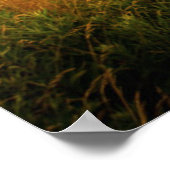 ポートランドヘッドライトハウス |エリザベス岬 ポスター (角)