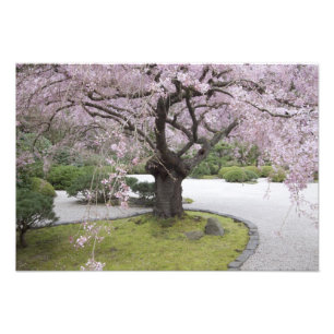 ポートランド日本庭園, ポートランド, オレゴン州, フォトプリント