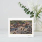 ポートランド、ORBear Dens in Washington Park ポストカード (スタンド正面)