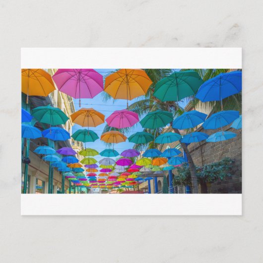 ポートルイスカンアウダンウォーターフロント傘の帽子 ポストカード (正面)