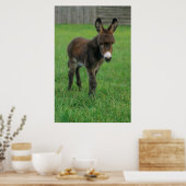 ポートレット、デルコッペルのZwergesel、Esel ポスター (キッチン)