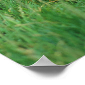 ポートレット、デルコッペルのZwergesel、Esel ポスター (角)