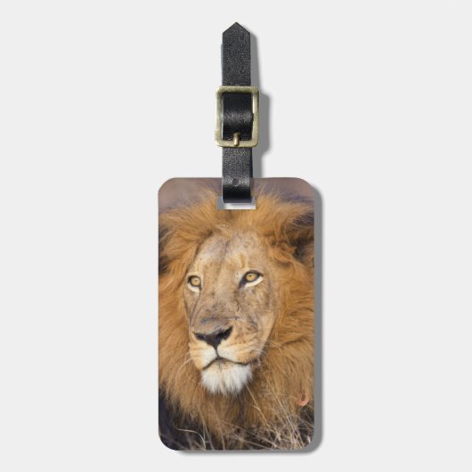 ポートレートが遠くを見て ラゲッジタグ (正面縦)