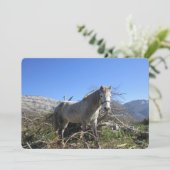 ポートレートのホースフラットホリデーカード シーズンカード (スタンド正面)