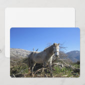 ポートレートのホースフラットホリデーカード シーズンカード (正面/裏面)