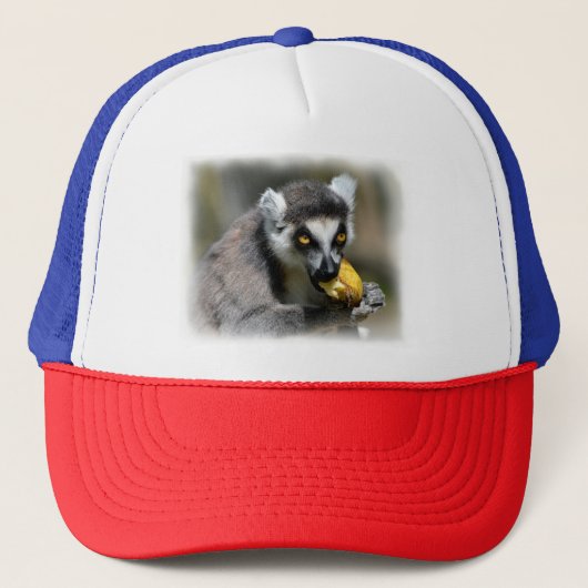 ポートレートのリングテイルムール食べ物のバナナ キャップ (正面)