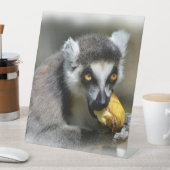 ポートレートのリングテイルムール食べ物のバナナ 台座サイン (インサイチュ)