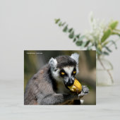 ポートレートのリングテイルムール食べ物のバナナ 箔シーズンポストカード (立ち正面)