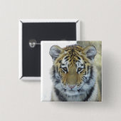 ポートレートの上の雪の終わりの虎の子 缶バッジ (正面&裏面)